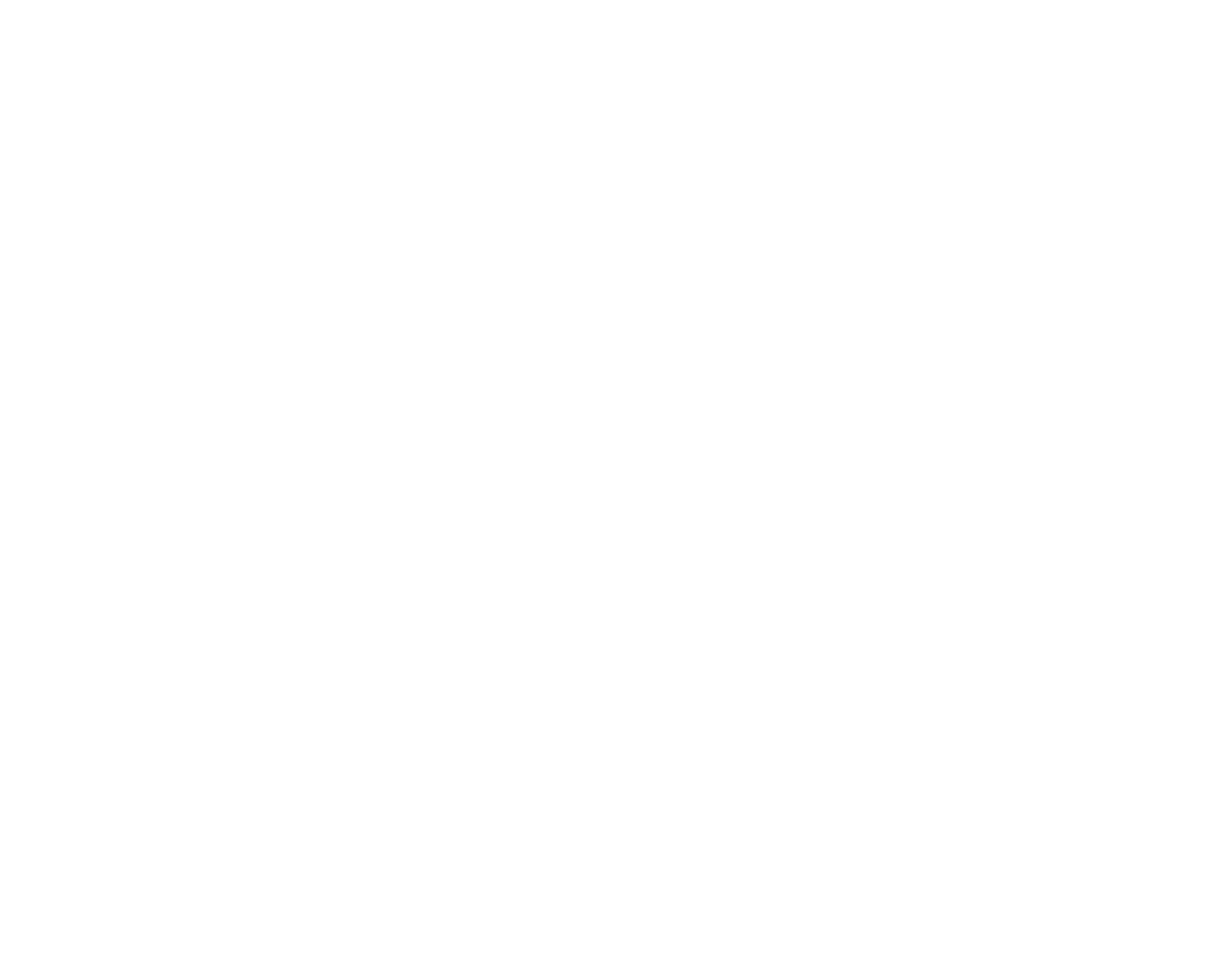 AA Pest Elimination SC